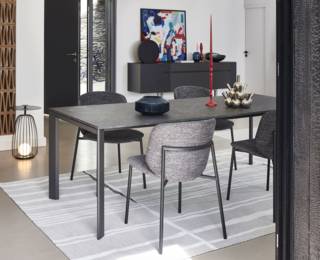 Cap Ferret rug