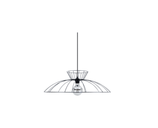 Scarlett black ceiling light